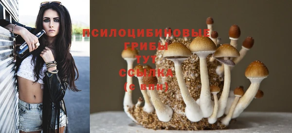 кокаин колумбия Михайлов