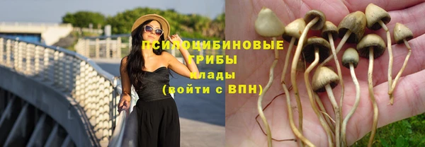 Альфа ПВП Михайловка